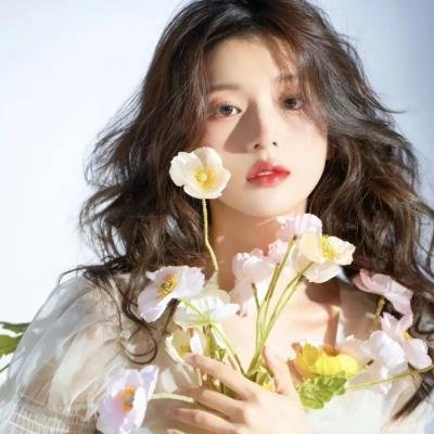 汽车女窃贼